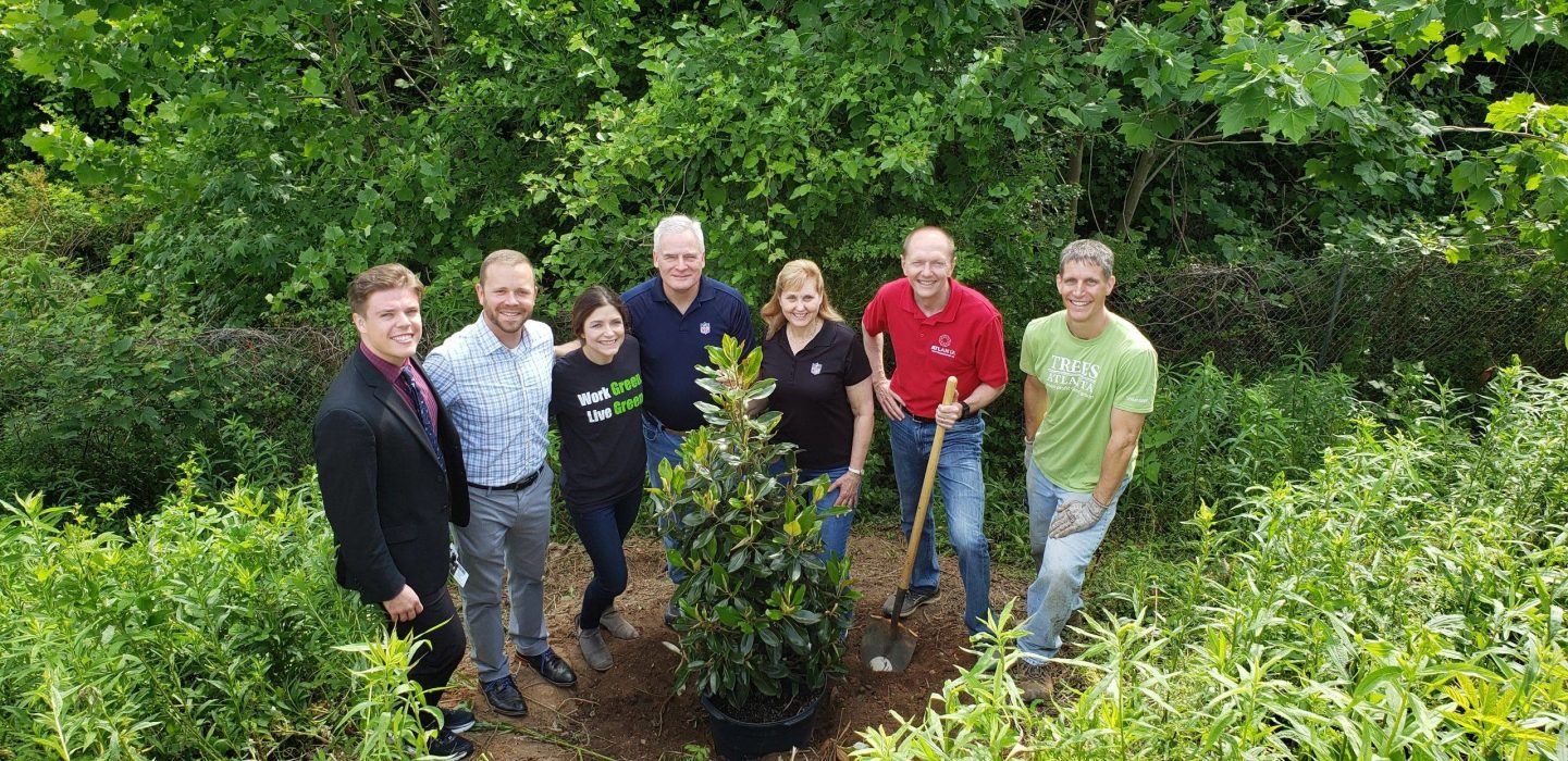 How many trees does it take to green the Super Bowl?