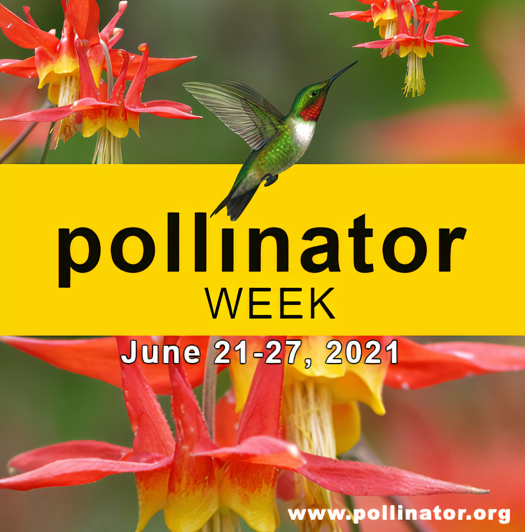 Happy Summer & Pollinator Week from the GWCCA Honeybees! – Georgia ...